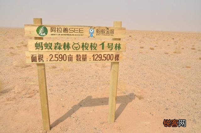 阿里巴巴都有哪些业务,越详细越好？