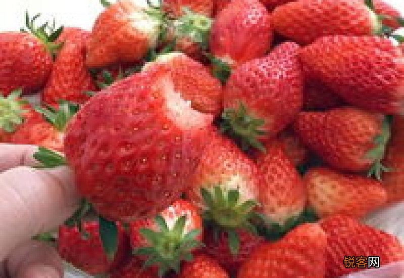 草莓洗了是不是马上要吃