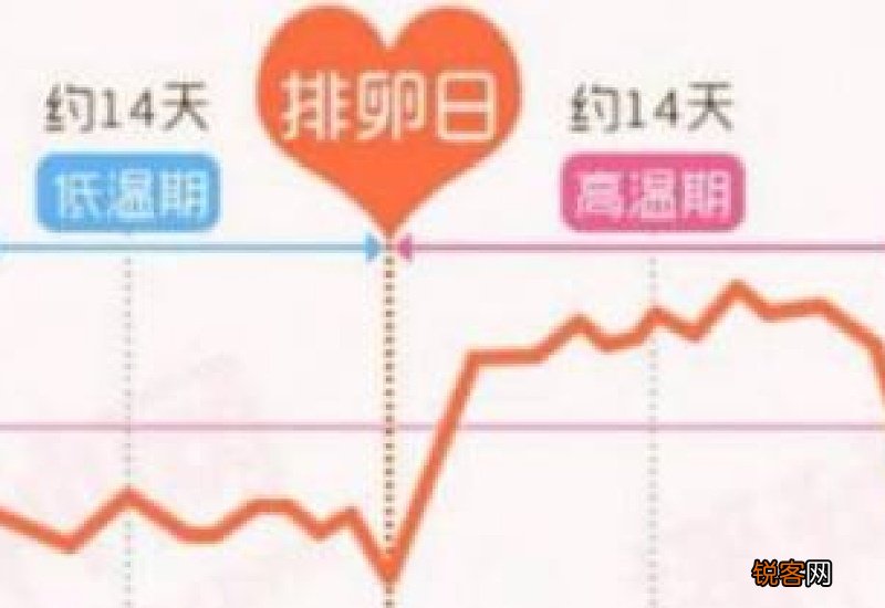 生理期前体温会升高吗?