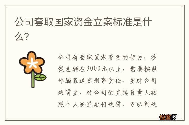 公司套取国家资金立案标准是什么？