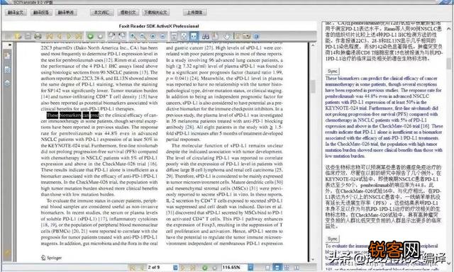 哪些翻译软件翻译的比较正确？