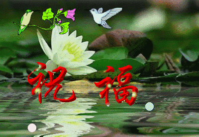 为什么爱情面包不能兼得？