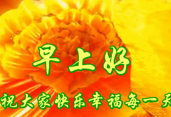 为什么爱情面包不能兼得？