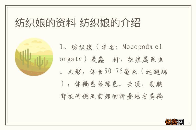 纺织娘的资料 纺织娘的介绍