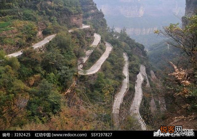 古今愤青的语言特点是什么？