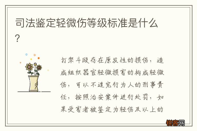 司法鉴定轻微伤等级标准是什么？