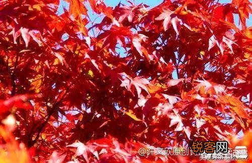 古往今来,总有人感叹“心比天高、命比纸薄”,进而愤世嫉俗,你有同感吗？