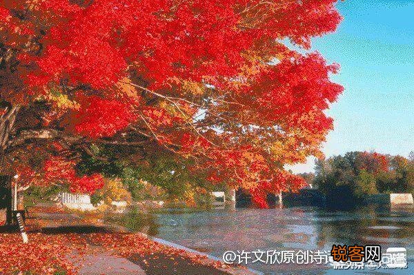 古往今来,总有人感叹“心比天高、命比纸薄”,进而愤世嫉俗,你有同感吗？