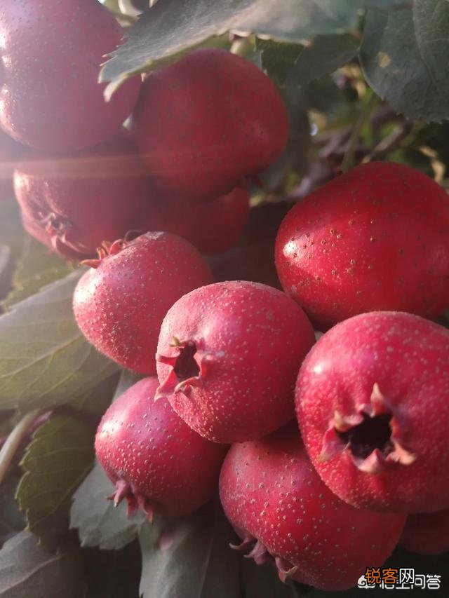 古往今来,总有人感叹“心比天高、命比纸薄”,进而愤世嫉俗,你有同感吗？