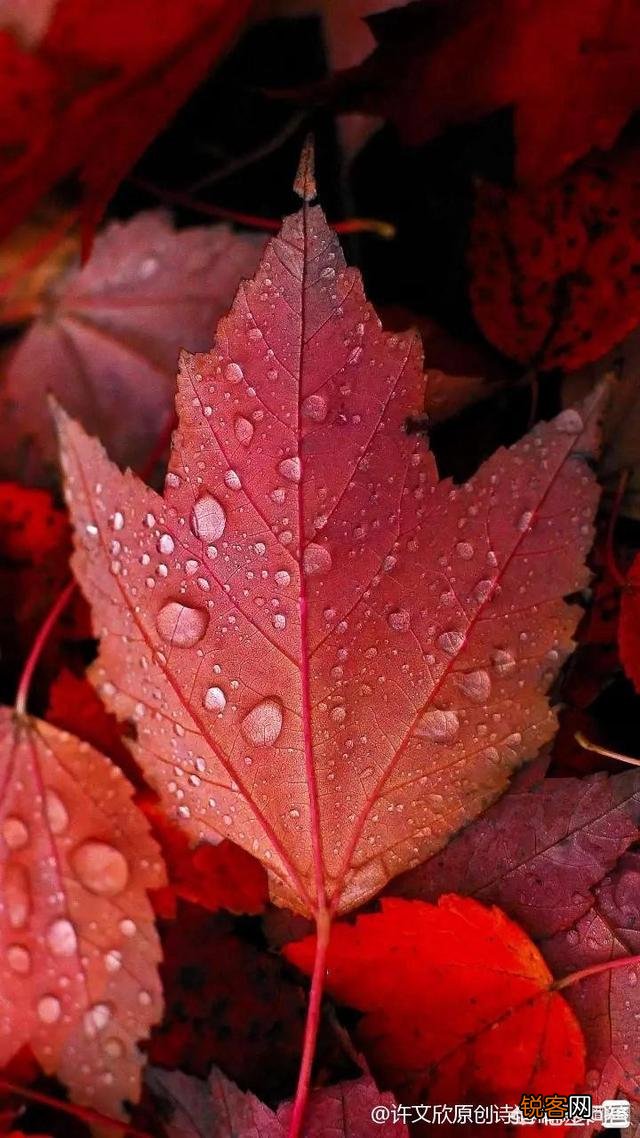 古往今来,总有人感叹“心比天高、命比纸薄”,进而愤世嫉俗,你有同感吗？