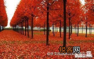 古往今来,总有人感叹“心比天高、命比纸薄”,进而愤世嫉俗,你有同感吗？