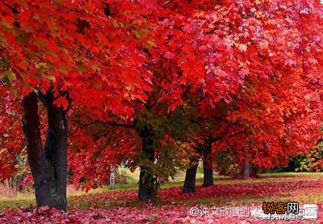 古往今来,总有人感叹“心比天高、命比纸薄”,进而愤世嫉俗,你有同感吗？