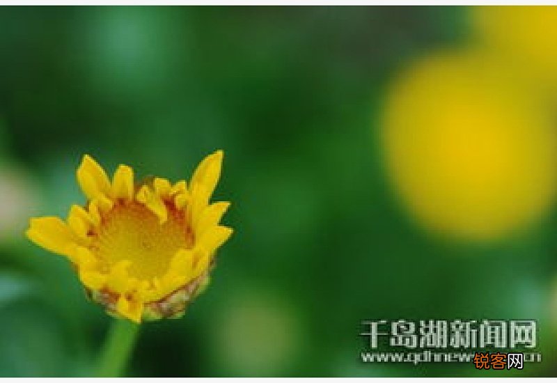 朝气蓬勃是什么意思解释