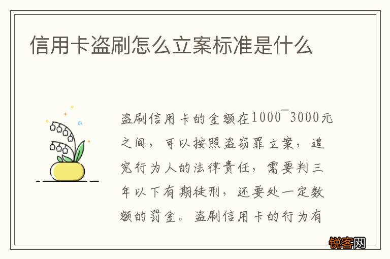 信用卡盗刷怎么立案标准是什么