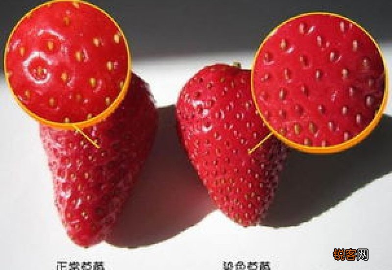 草莓表面的籽是绿色的能吃吗
