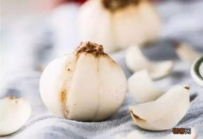 干百合和鲜百合哪个好 吃法不同,营养价值大同小异