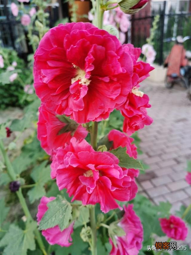 被孤立后怎么调整心态面对孤立,变得不在乎？