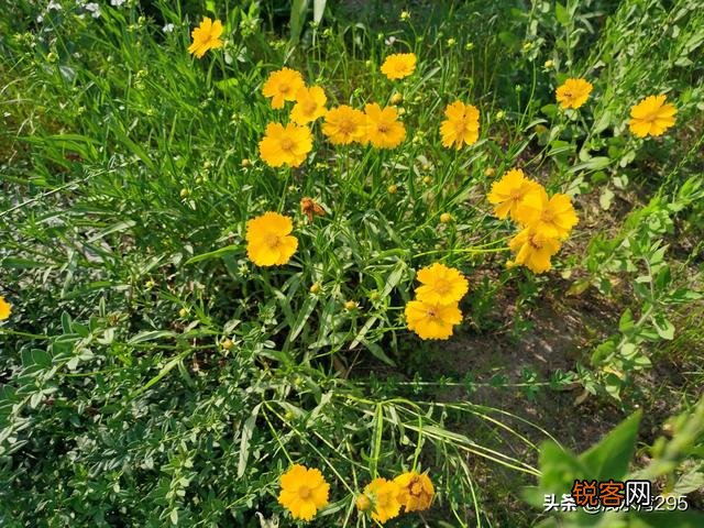 被孤立后怎么调整心态面对孤立,变得不在乎？