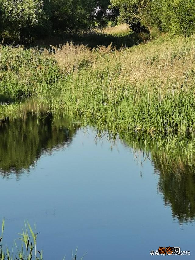 被孤立后怎么调整心态面对孤立,变得不在乎？