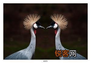 当你被别人欺负的时候,谁会站出来保护你呢？