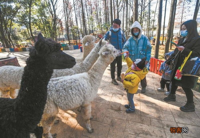 武汉野生动物王国几点开门几点关门