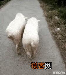 被人耍却没法出气,怎么缓解？