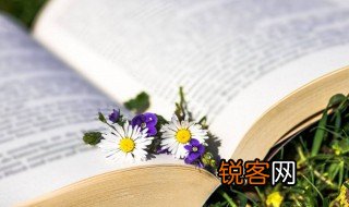 正比和反比是什么意思 正比和反比解释