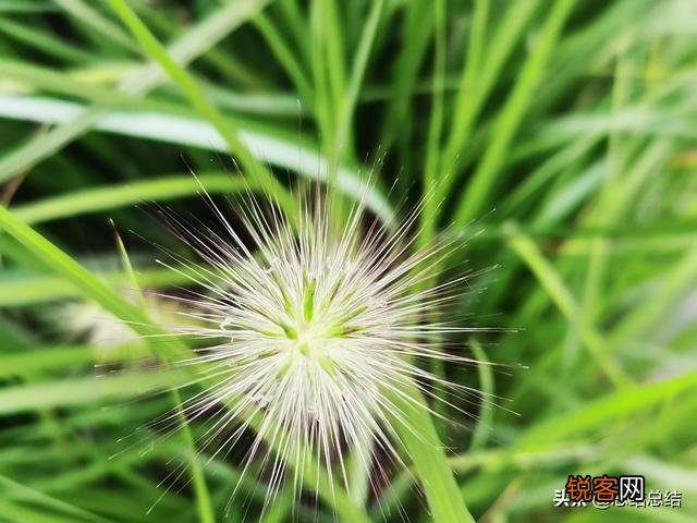 请问我是主和朋友喝茶时,我起身找了个东西几秒后旁边的人就坐在我的位置泡茶,旁边的人是不是喧宾夺主？