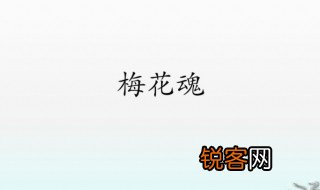 梅花魂的主要内容 梅花魂简单介绍