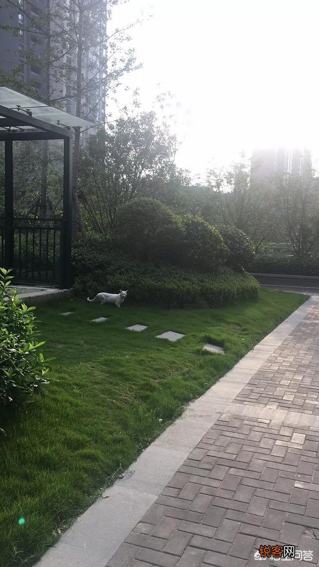 请客吃饭,如果客人不来你会怎么办？