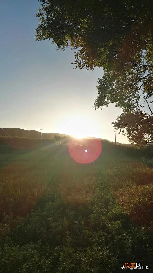 被朋友算计了怎么办？