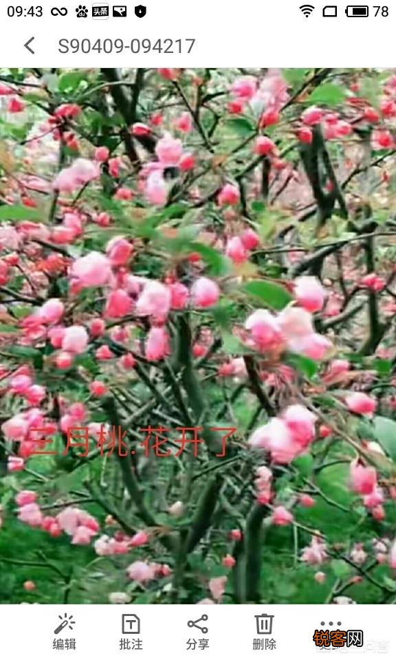 去朋友家做客,走的时候对方没有站起来送,算正常吗？