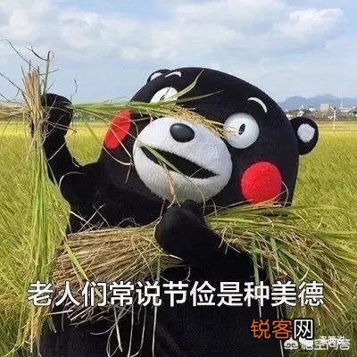 闲鱼新手教程？