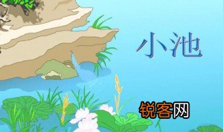 小池的作者是谁 小池的作者是哪位