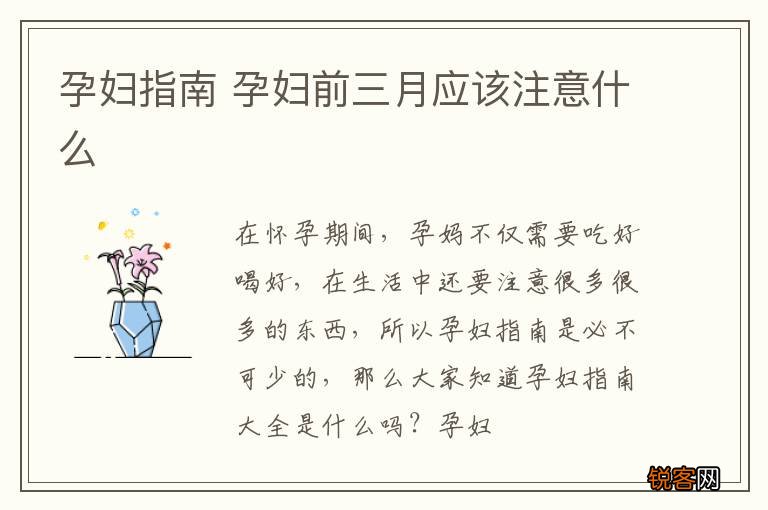 孕妇指南 孕妇前三月应该注意什么