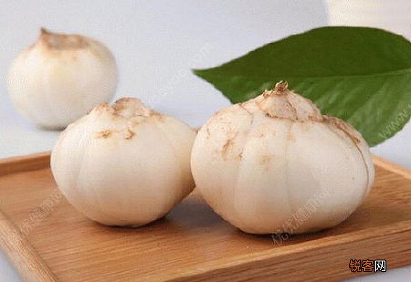 小孩可以吃百合鸡蛋吗 哪些人不宜吃百合鸡蛋