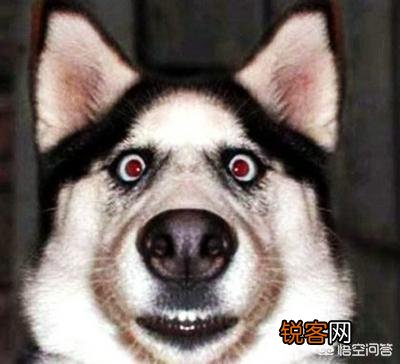 世界战争史中有哪些“bug”一样存在的人？