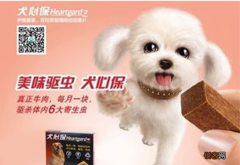 福来恩犬心保说明书