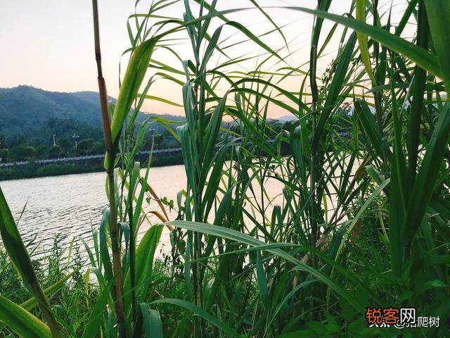 电视剧中,你无法接受的男主角是哪一个？为什么？