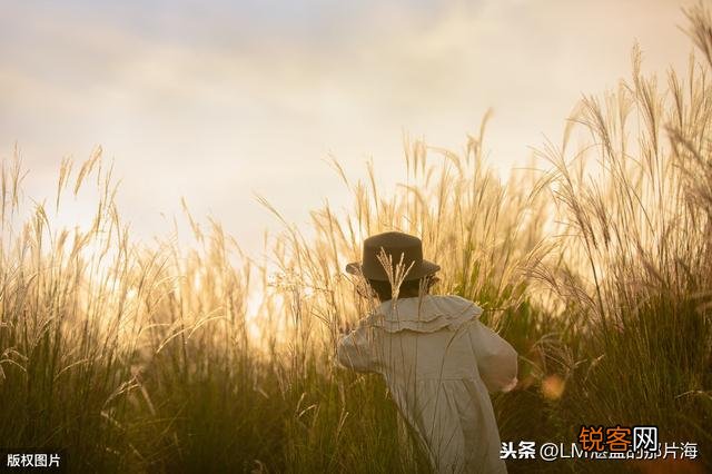 angelababy、沙溢、王丽坤、祖峰、周一围  如何评价《王牌对王牌第五季》“谍战之旅”？