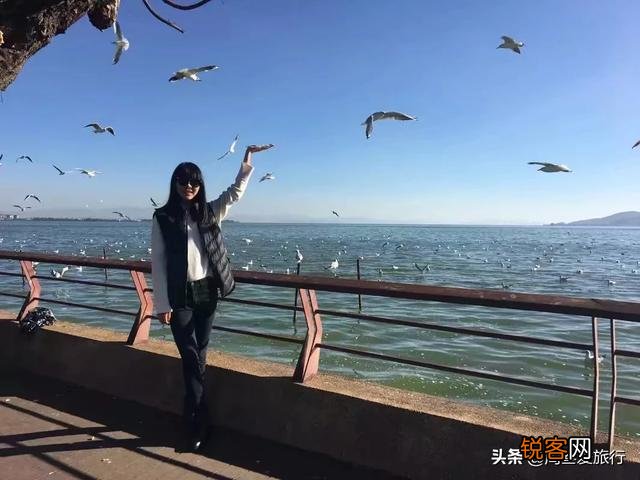 疫情过后我想去昆明旅游,怎么规划一下10天内的路线？