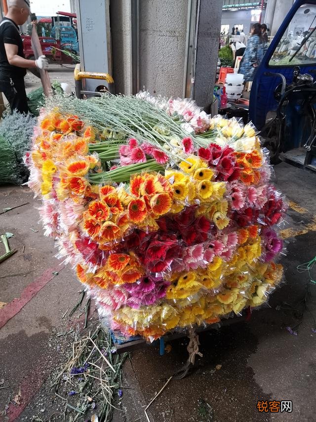 想去昆明玩二三天大家有什么好建议吗？