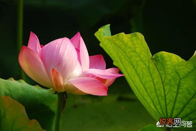 求昆明旅游攻略？