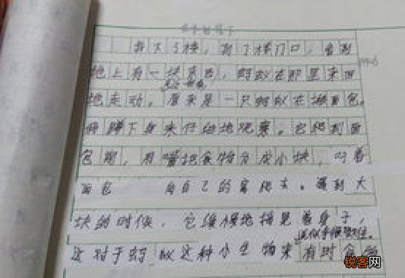 写高一老师的作文