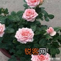 宴请朋友亲戚,你们那里关于座位有讲究吗？