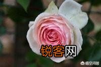 宴请朋友亲戚,你们那里关于座位有讲究吗？