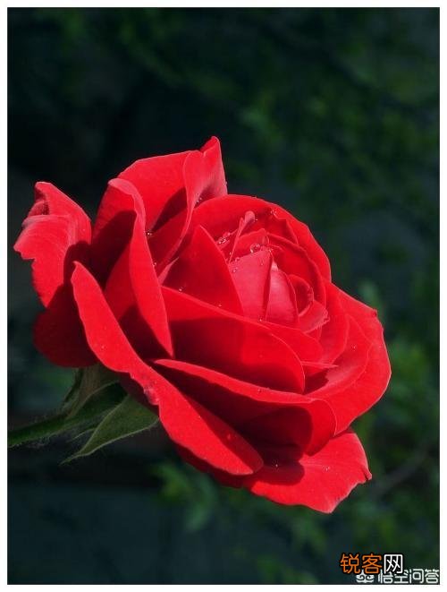 宴请朋友亲戚,你们那里关于座位有讲究吗？