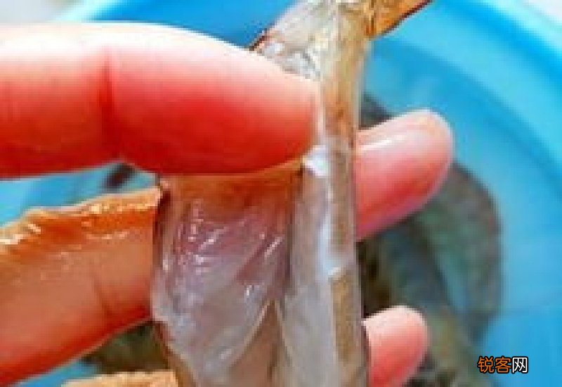 基围虾开背怎么开