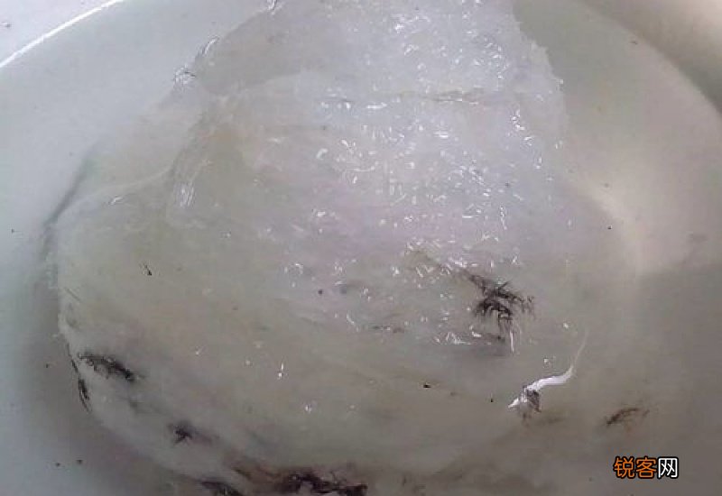 燕窝泡发不开是为什么