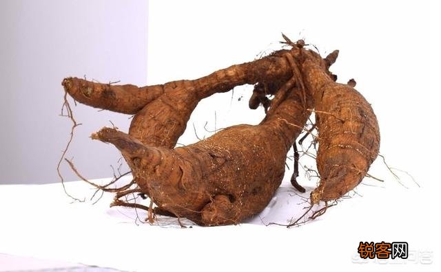 葛根泡水喝有什么功效？葛根泡水什么时间喝好？